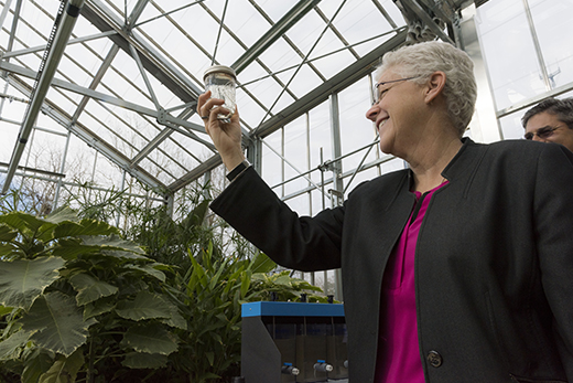 McCarthy examines water cleaned at the Emory WaterHub, displayed in a Southern-style Mason jar.