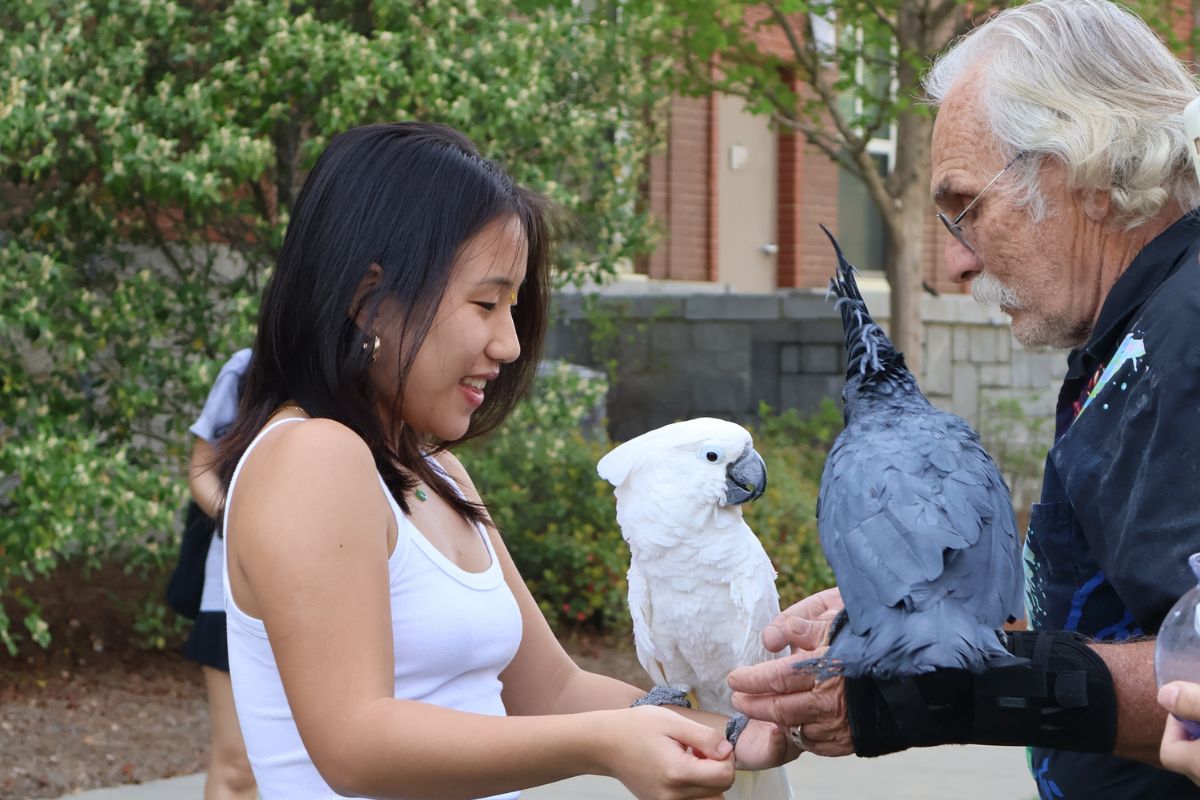 female with white exotic bird on her arm